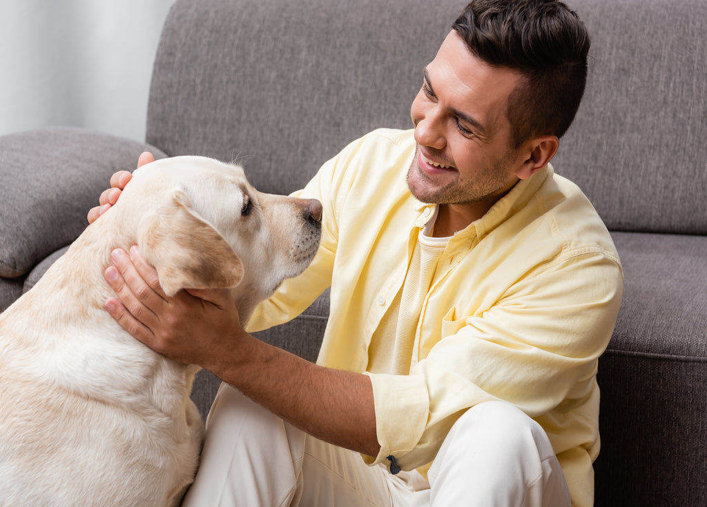 5 Strategies To Get Your Dog To Listen To You