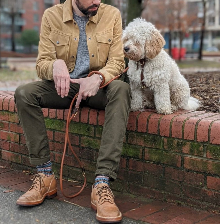 Your Dog Doesn't Count the Years. They Count the Moments.