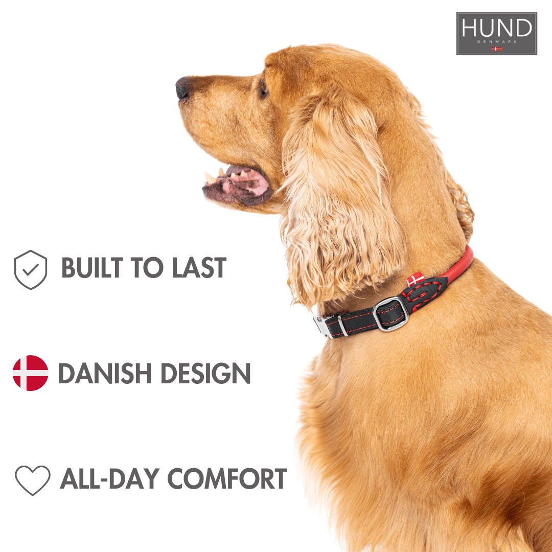 The Secret to a Happy, Healthy Dog: Why HUND Denmark's Rolled Leather Collars Are Worth It