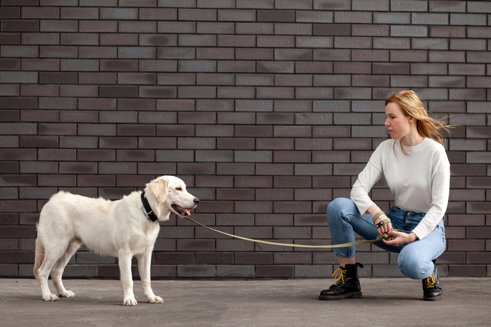 Dog Leash Size: How Long Should It Be?