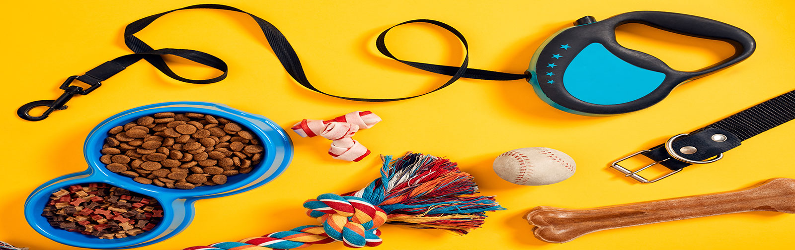 Dog Travel Essentials What To Pack For Your Furry Friends