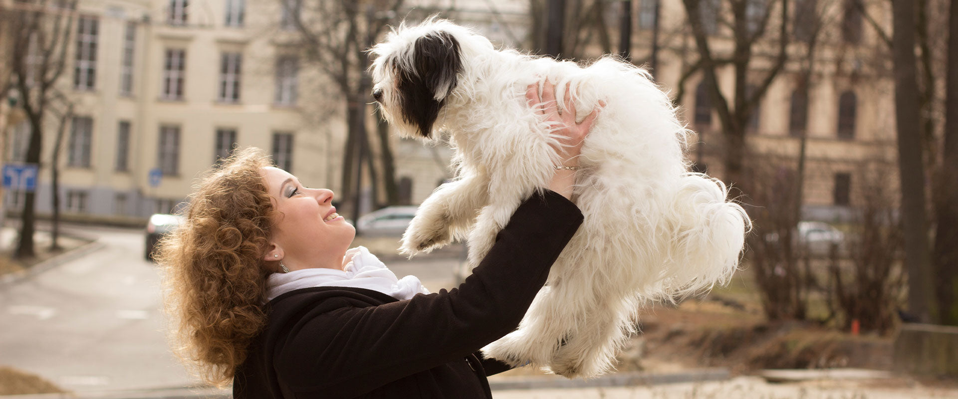 This Is How You Should Pick Up Your Dog