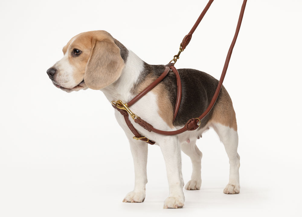 No Pull Anti Matting Harness