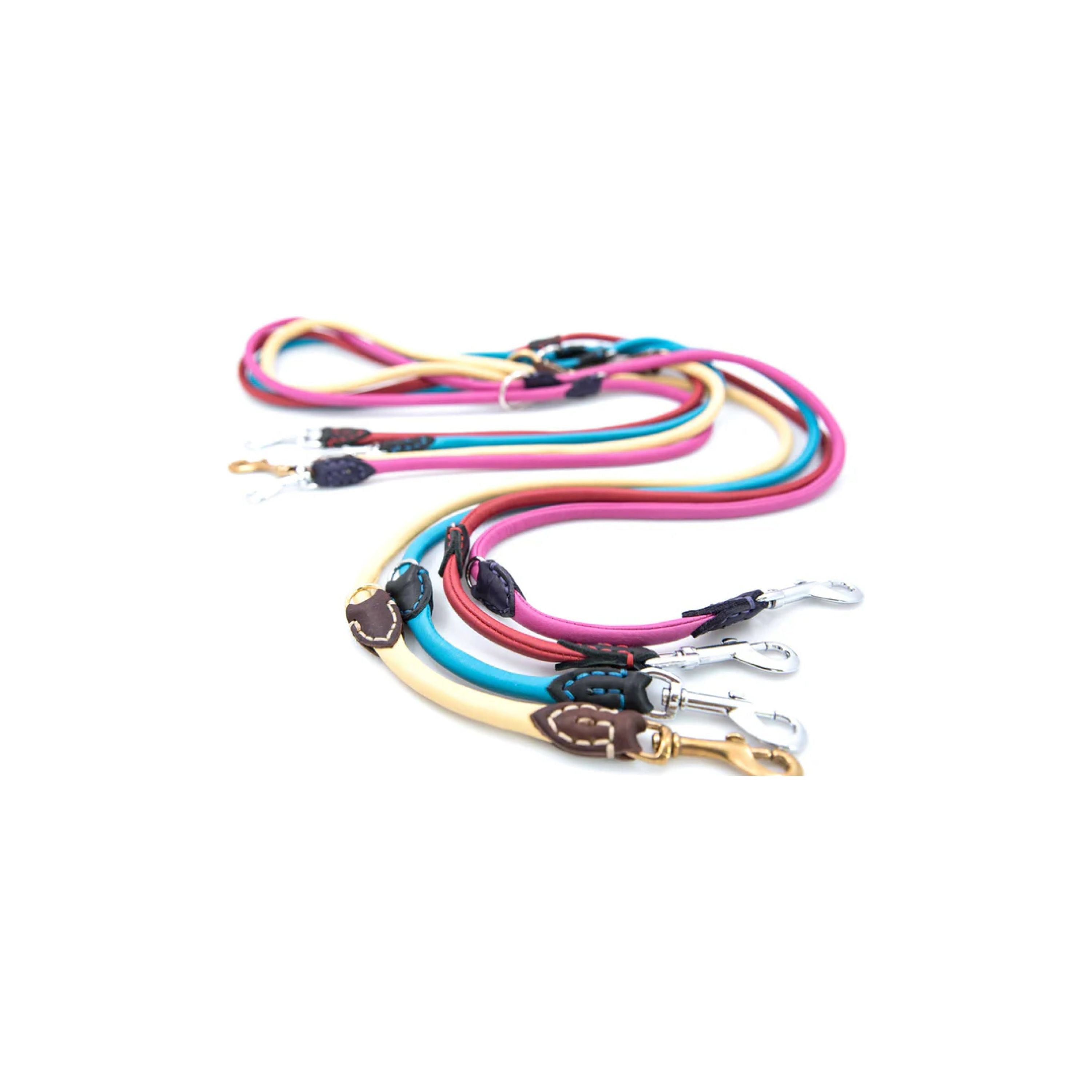 Luxury Colorful Leather Dog Collars