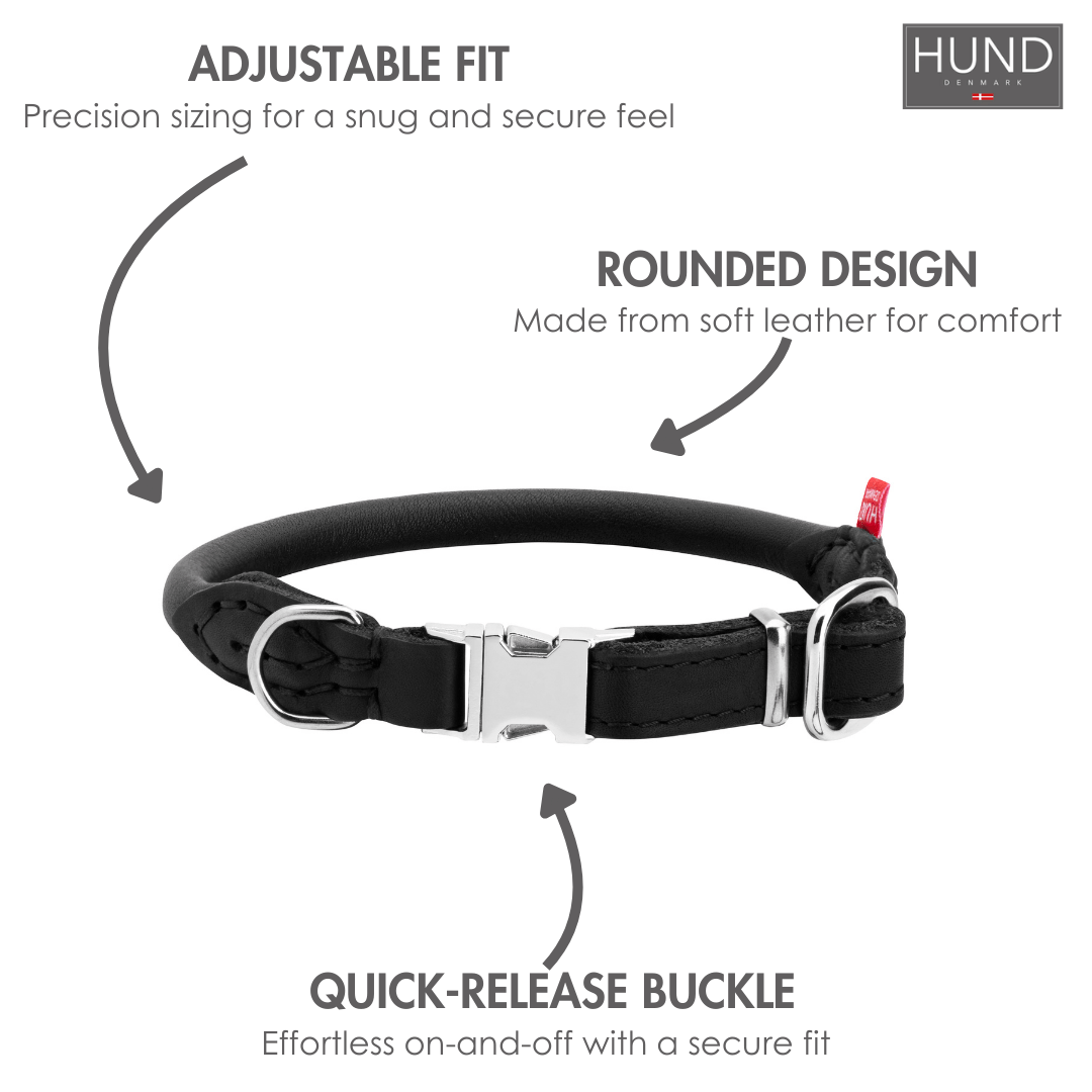 Why Rolled Leather Dog Collars Are Better for Your Dog