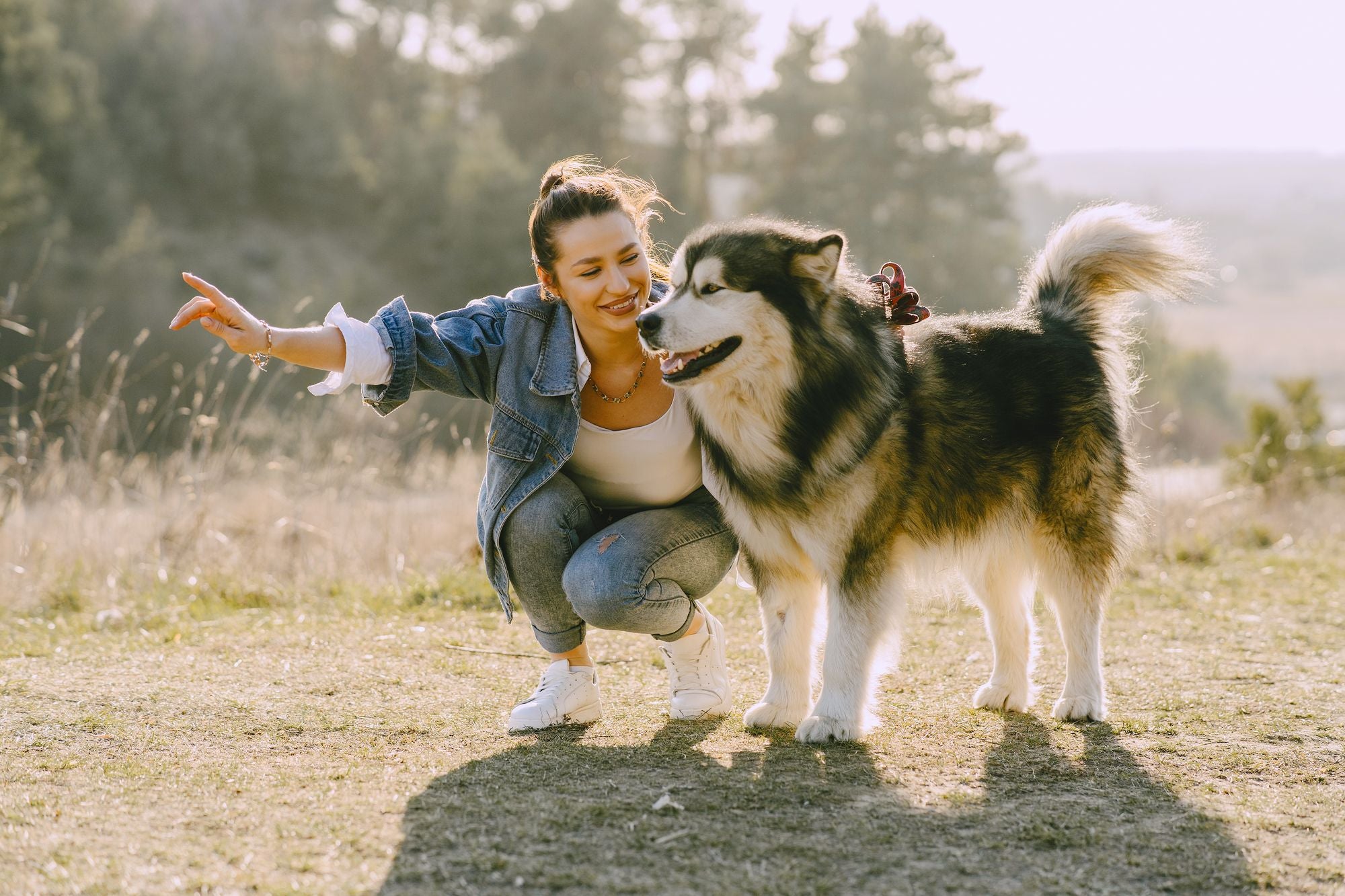 The 5 Easiest Ways To Improve Your Dog's Recall