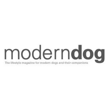 Modern Dog