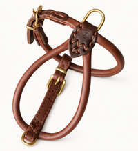Ålborg- No Pull, Rolled, Comfort and Cloud-Like Soft Leather Harness