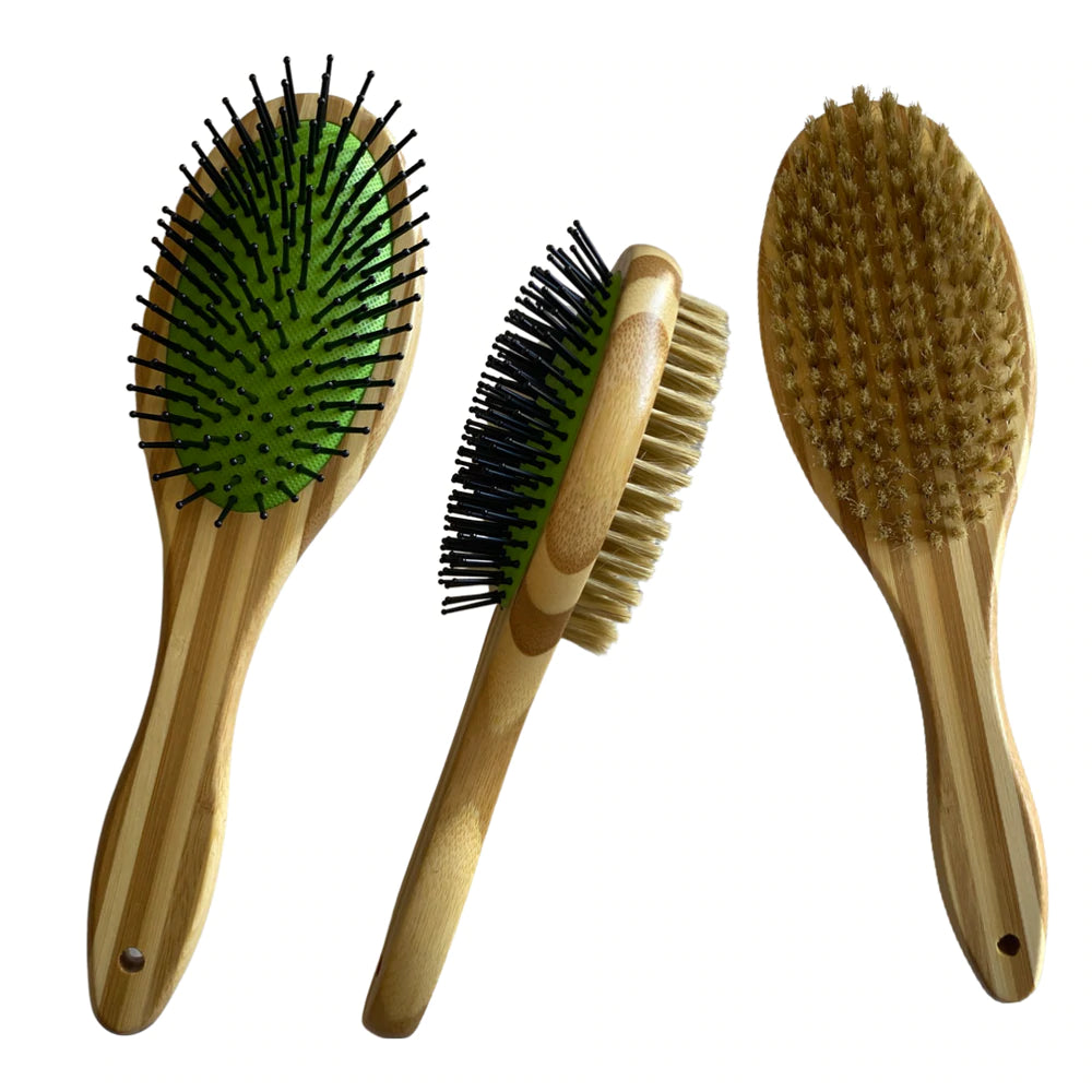 Luxury Colorful Leather Dog Collars