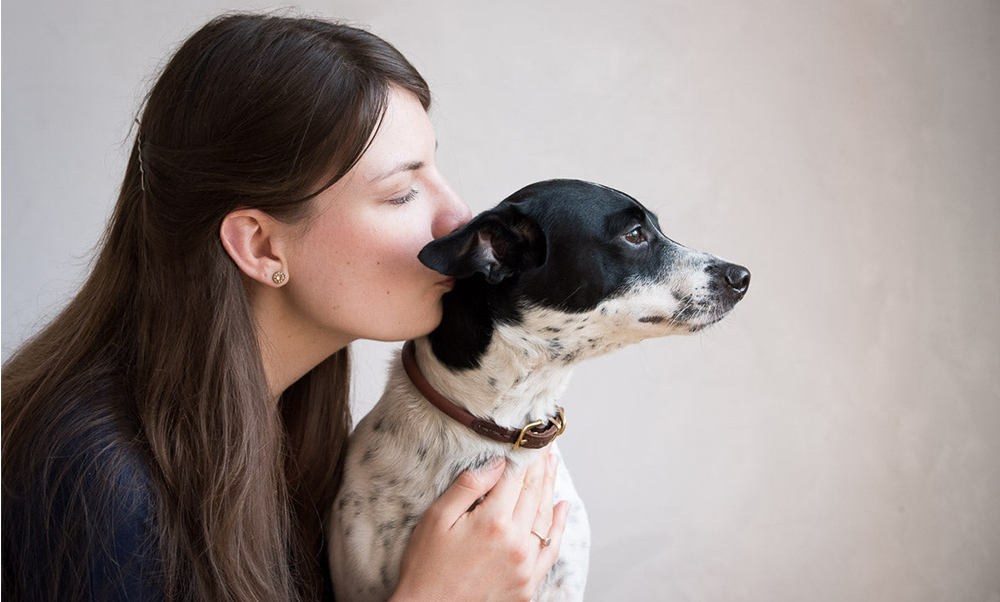 Luxury Colorful Leather Dog Collars
