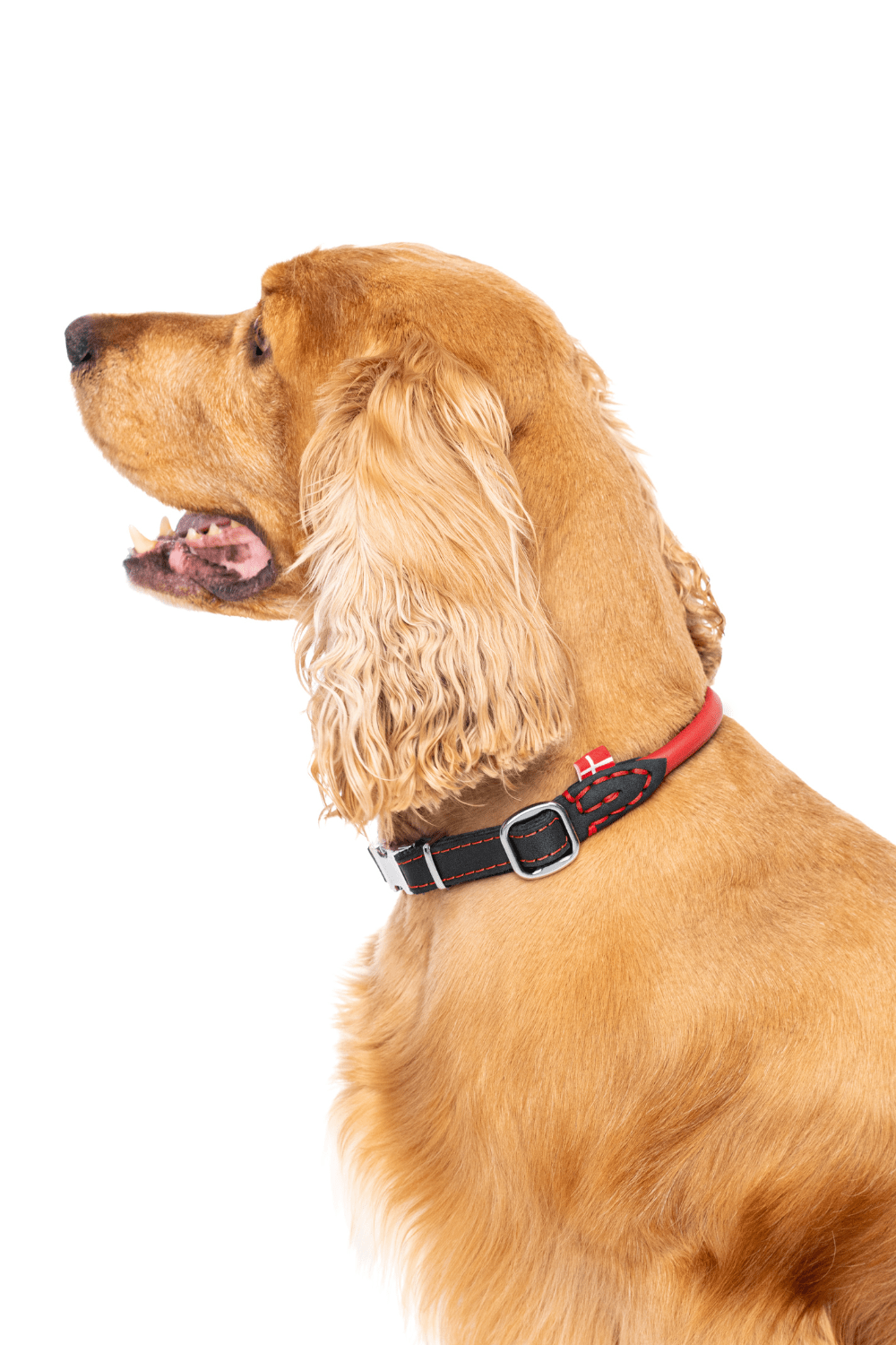 Collars