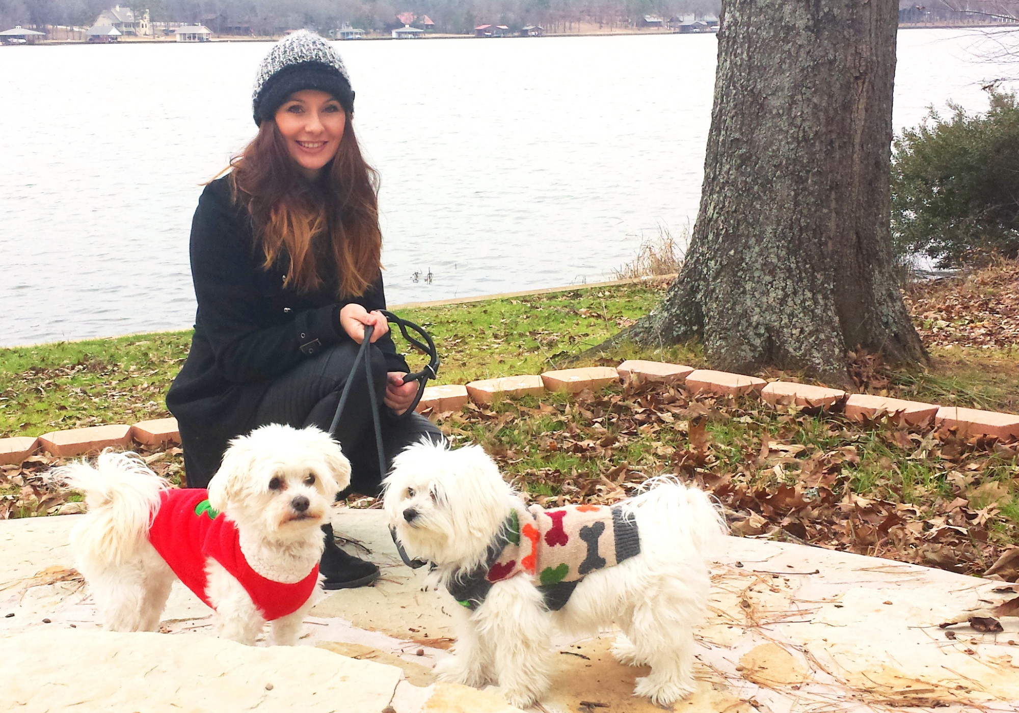 Luxury Colorful Leather Dog Collars