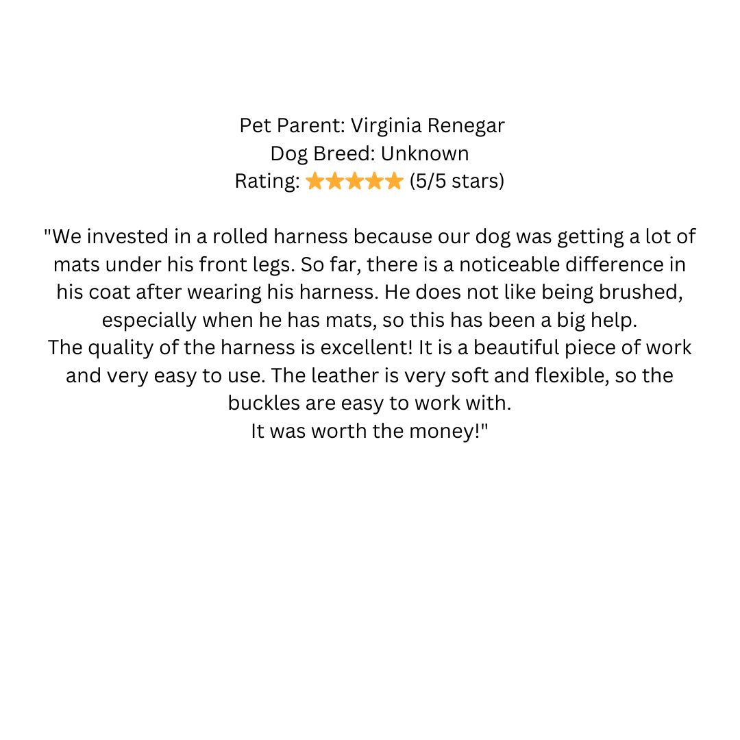 Ålborg- No Pull, Rolled, Comfort and Cloud-Like Soft Leather Harness