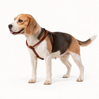 Ålborg- No Pull, Rolled, Comfort and Cloud-Like Soft Leather Harness