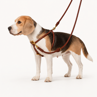 Ålborg- No Pull, Rolled, Comfort and Cloud-Like Soft Leather Harness