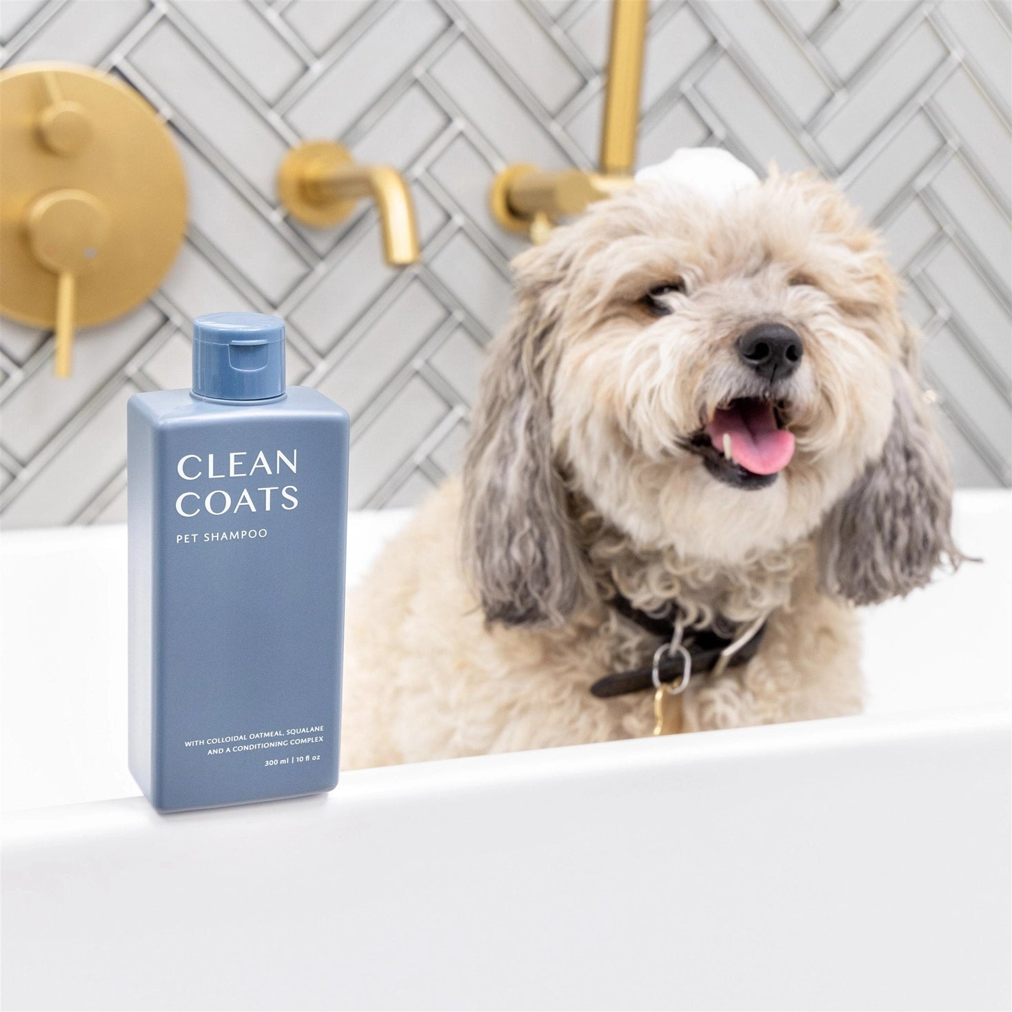 Dog Shampoo 2 in 1 For Itching, Conditioning and Smelly Dogs