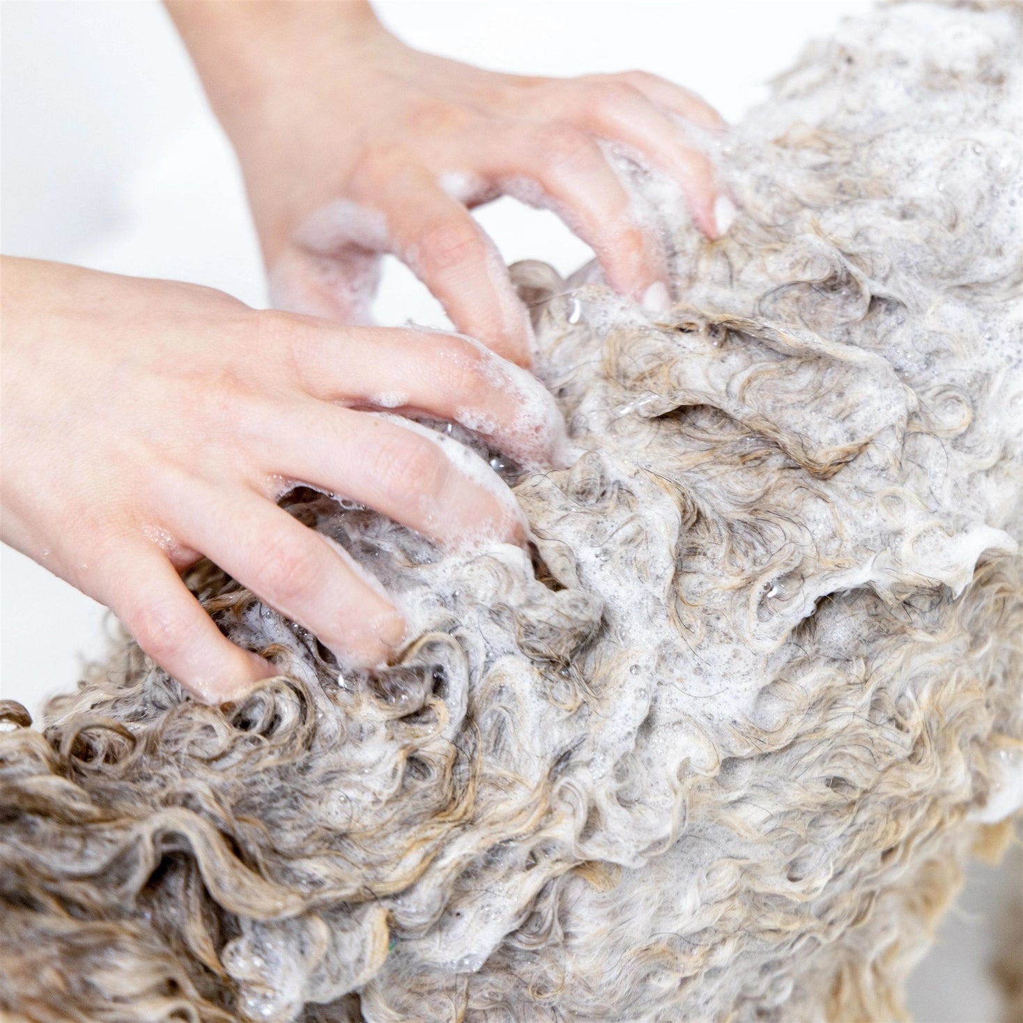 Dog Shampoo 2 in 1 For Itching, Conditioning and Smelly Dogs