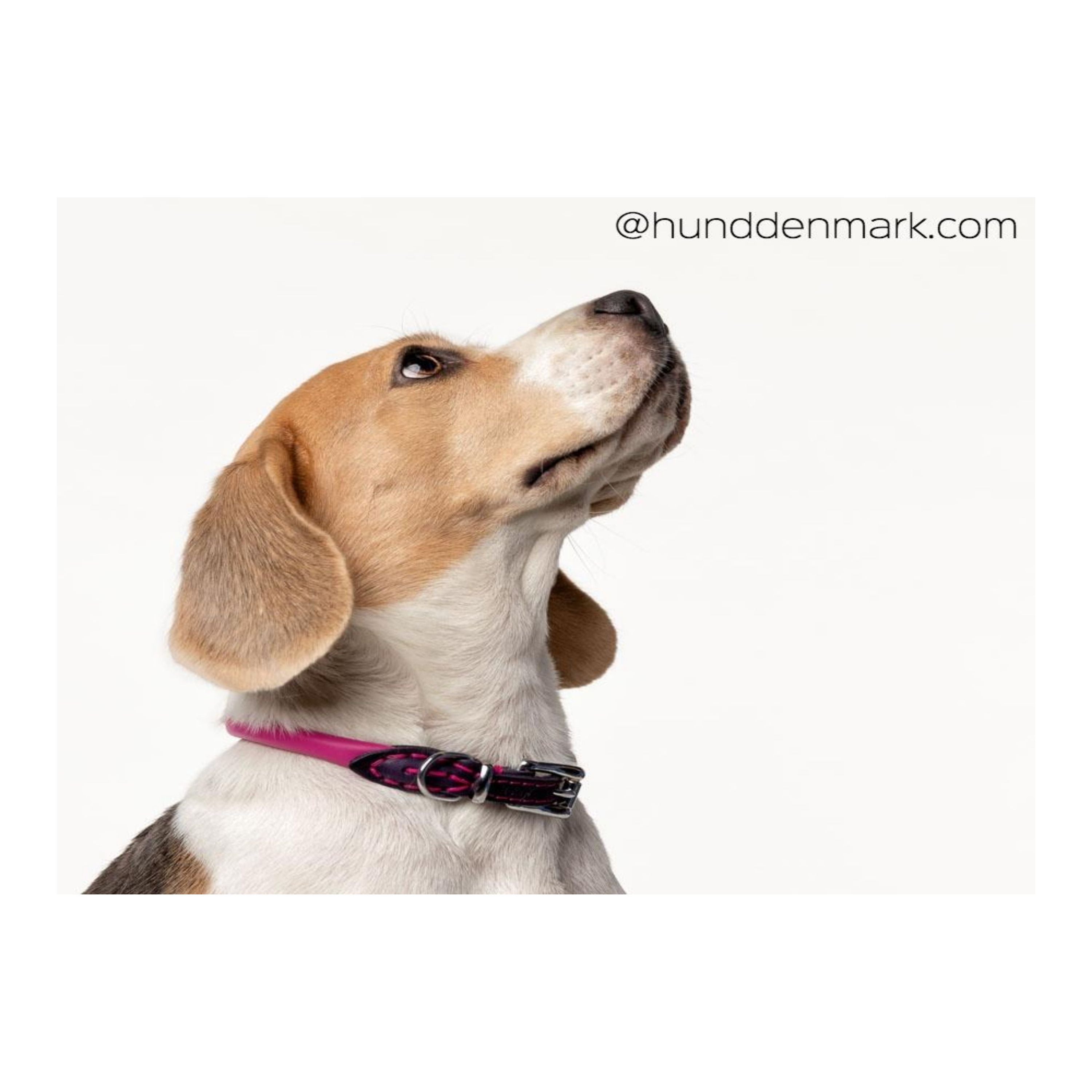 Århus- Dual Tone, Robust Design