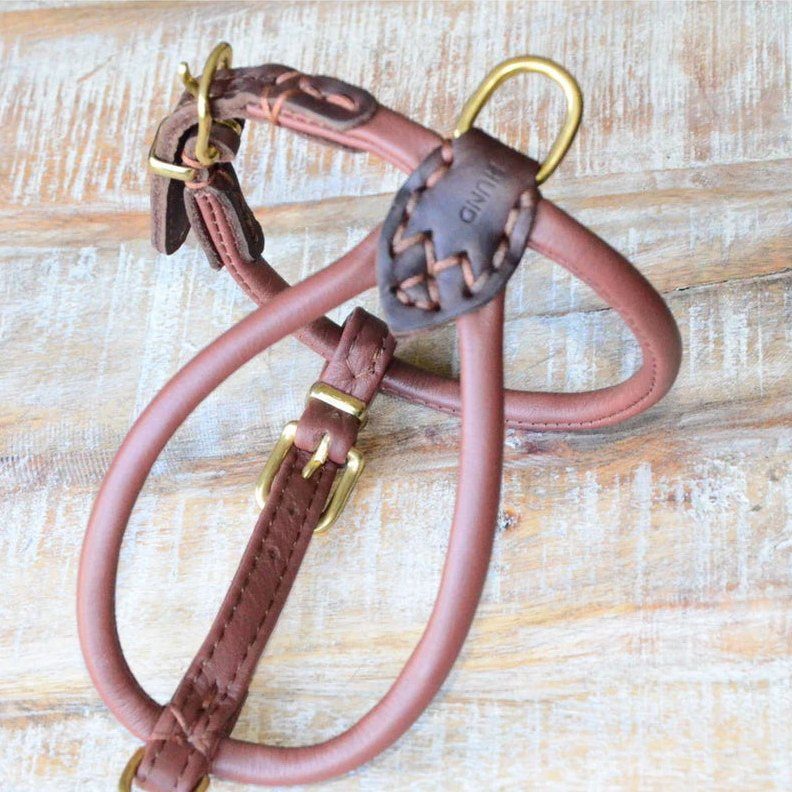 ÅLBORG rolled leather harness in milk chocolate, laid on a wooden table